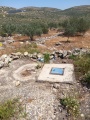 תמונה ממוזערת לגרסה מתאריך 11:47, 17 באפריל 2025