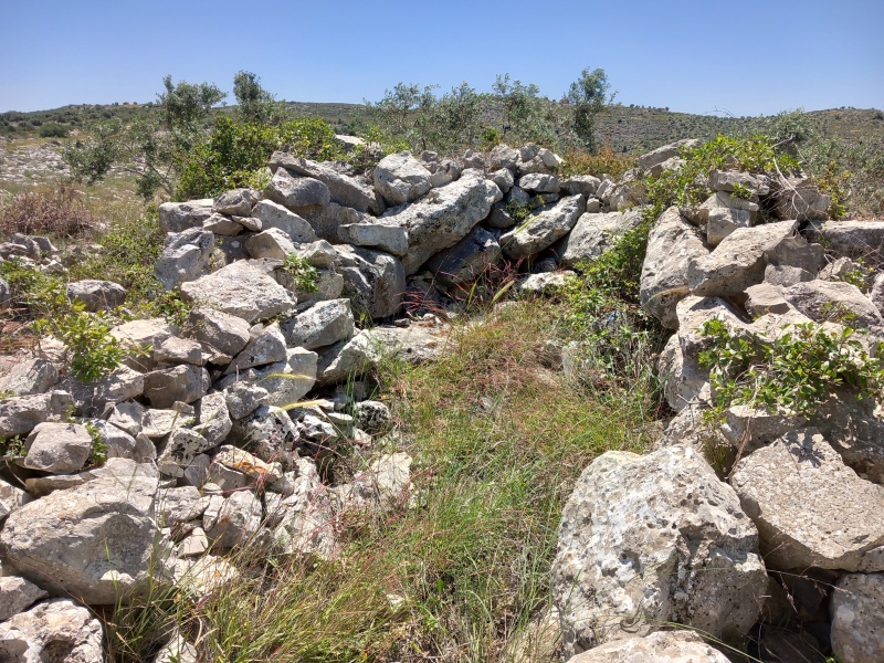 קובץ:2025-04-17T12 09 24.180158639726.jpg