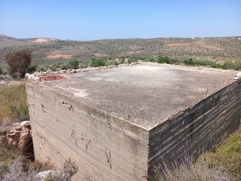 קובץ:2025-04-17T12 18 20.066614672387.jpg