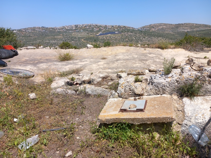 קובץ:2025-04-17T12 19 12.11923558285.jpg