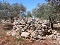 תמונה ממוזערת לגרסה מתאריך 11:47, 17 באפריל 2025