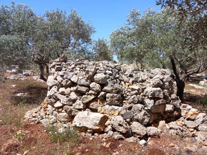 קובץ:2025-04-17T12 25 03.373600954522.jpg