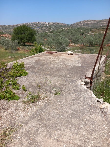 קובץ:2025-04-17T12 28 27.192199348593.jpg