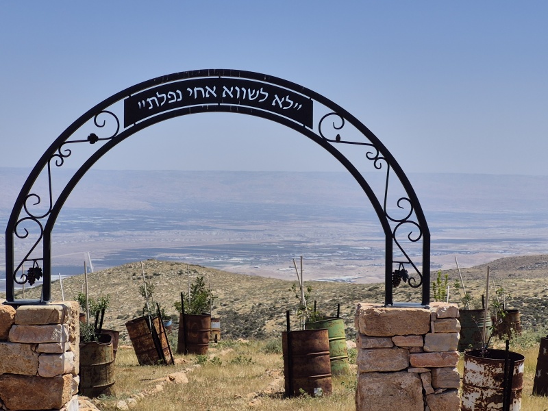 קובץ:2025-04-17T13 14 57.277992931574.jpg