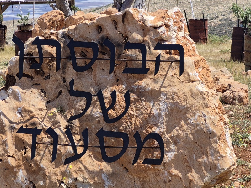 קובץ:2025-04-17T13 15 09.910939578390.jpg