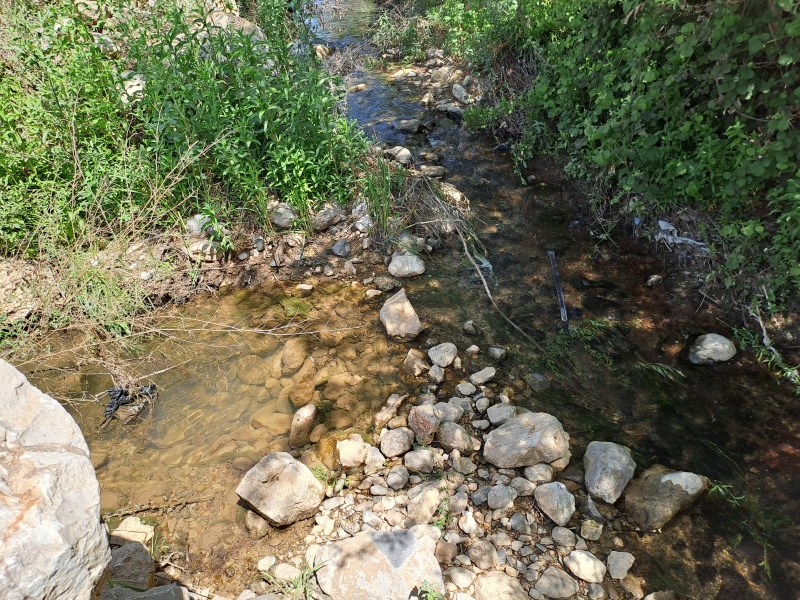 קובץ:2025-04-17T13 20 49.819251364234.jpg