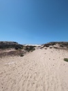 2025-04-17T13 48 29.296738235104.jpg