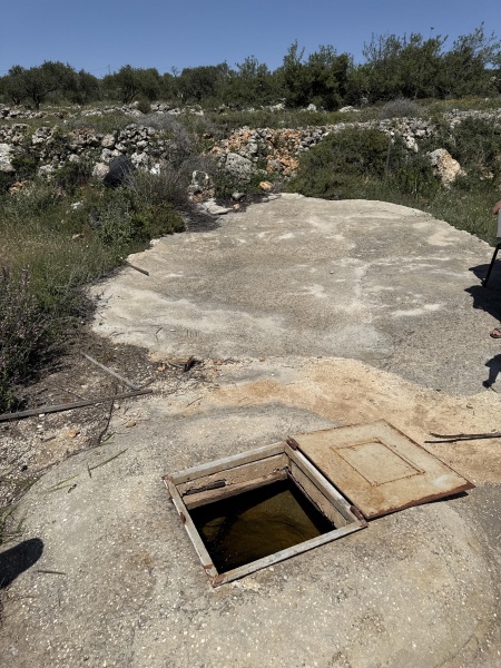 קובץ:2025-04-17T14 25 28.314437559914.jpg