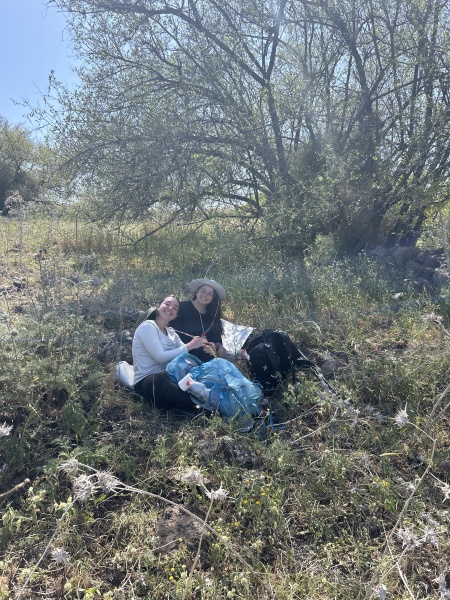 קובץ:2025-04-17T14 41 52.212172610952.jpg