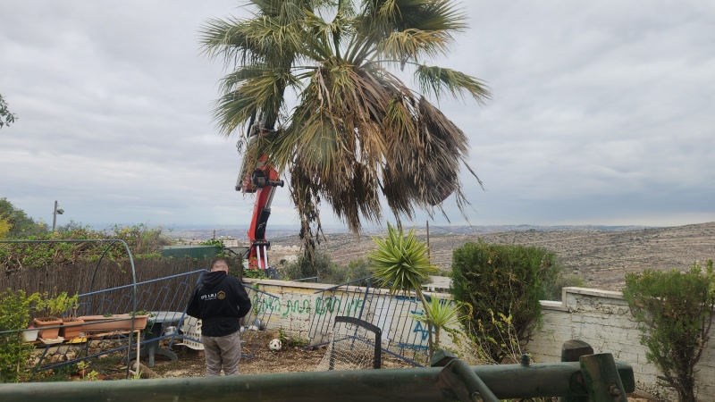 קובץ:2025-04-17T15 45 46.972385458911.jpg