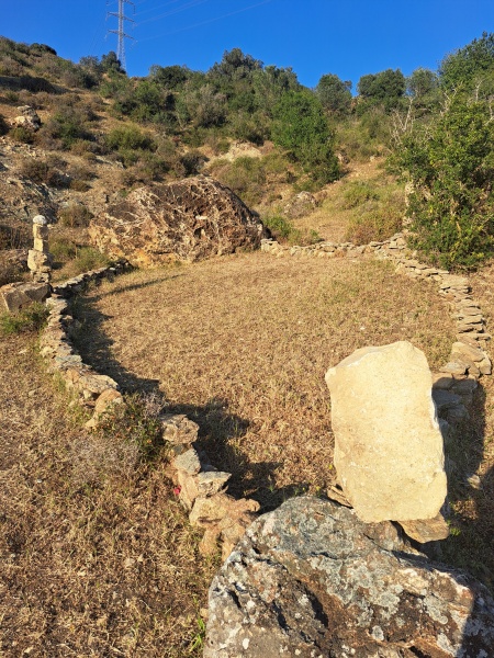 קובץ:2025-04-17T18 09 55.334270710441.jpg