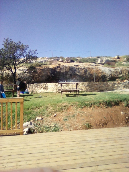קובץ:2025-04-17T21 49 56.267219936667.jpg