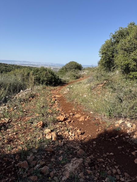קובץ:2025-04-18T08 53 30.592812571652.jpg