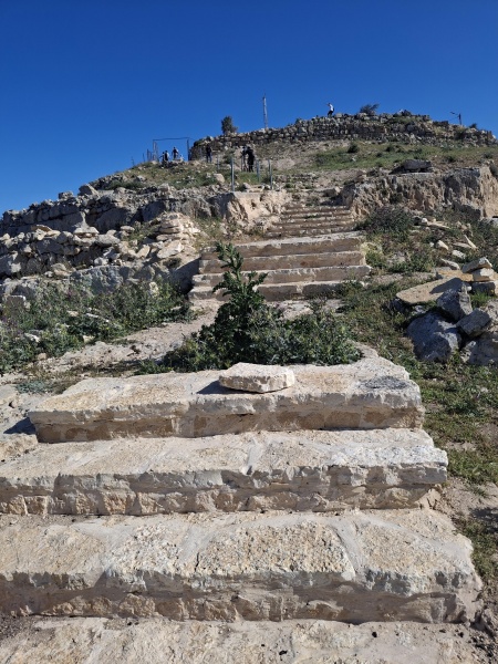 קובץ:2025-04-18T09 03 58.501869302807.jpg