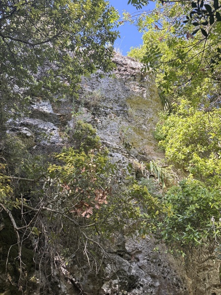 קובץ:2025-04-18T09 08 51.476235813423.jpg