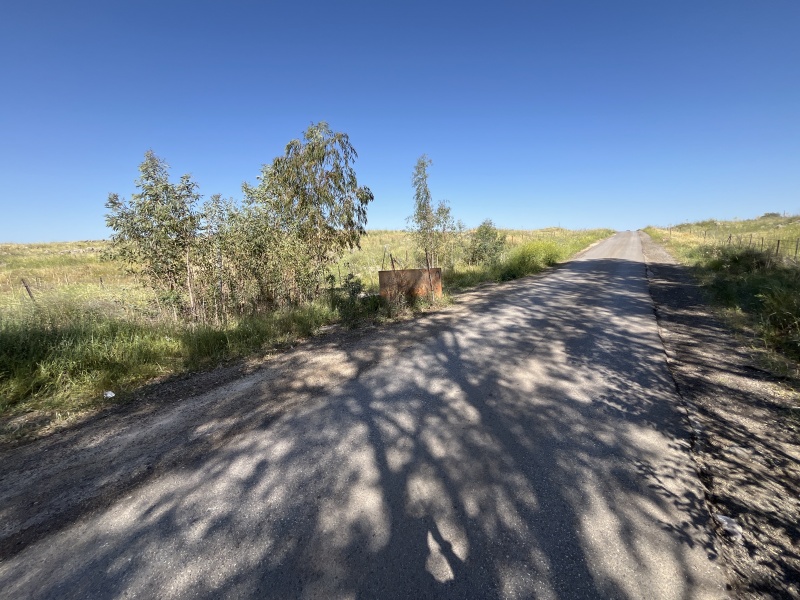 קובץ:2025-04-18T09 36 27.764941635230.jpg