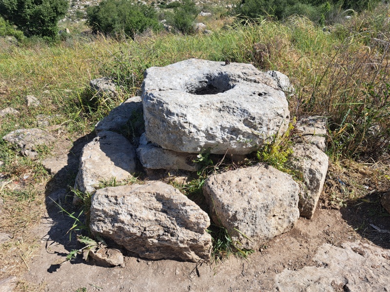 קובץ:2025-04-18T09 42 47.12251953549.jpg