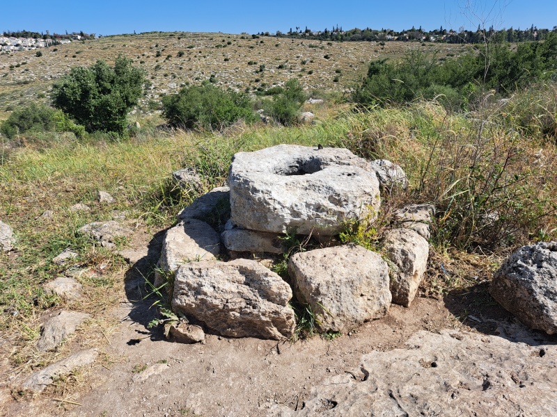 קובץ:2025-04-18T09 44 32.782916278733.jpg