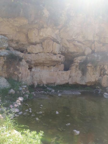 קובץ:2025-04-18T10 37 22.148542829588.jpg