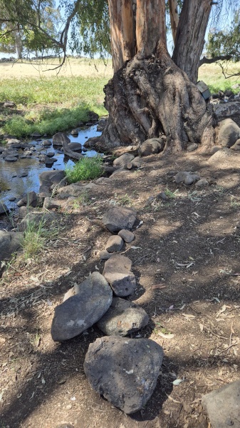 קובץ:2025-04-18T10 58 10.773676459947.jpg