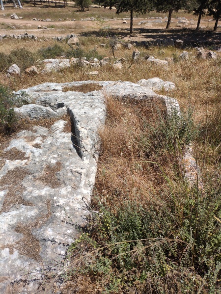 קובץ:2025-04-18T11 16 51.77611625815.jpg