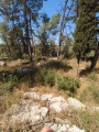 תמונה ממוזערת לגרסה מתאריך 08:02, 18 באפריל 2025