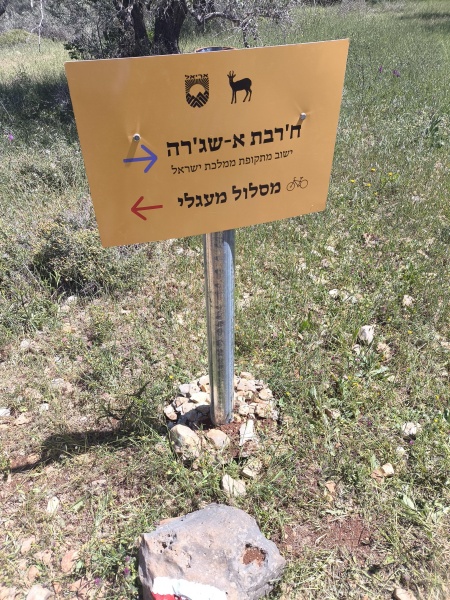 קובץ:2025-04-18T11 27 44.712936346652.jpg