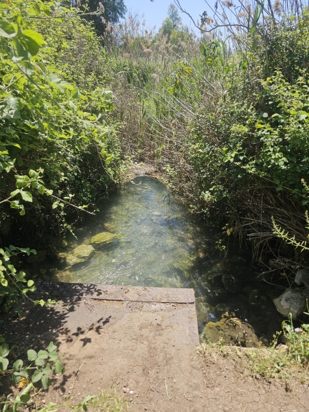 קובץ:2025-04-18T11 28 45.241472958008.jpg