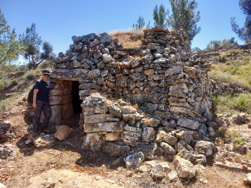 קובץ:2025-04-18T11 45 17.435245726888.jpg
