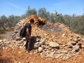 תמונה ממוזערת לגרסה מתאריך 12:15, 18 באפריל 2025
