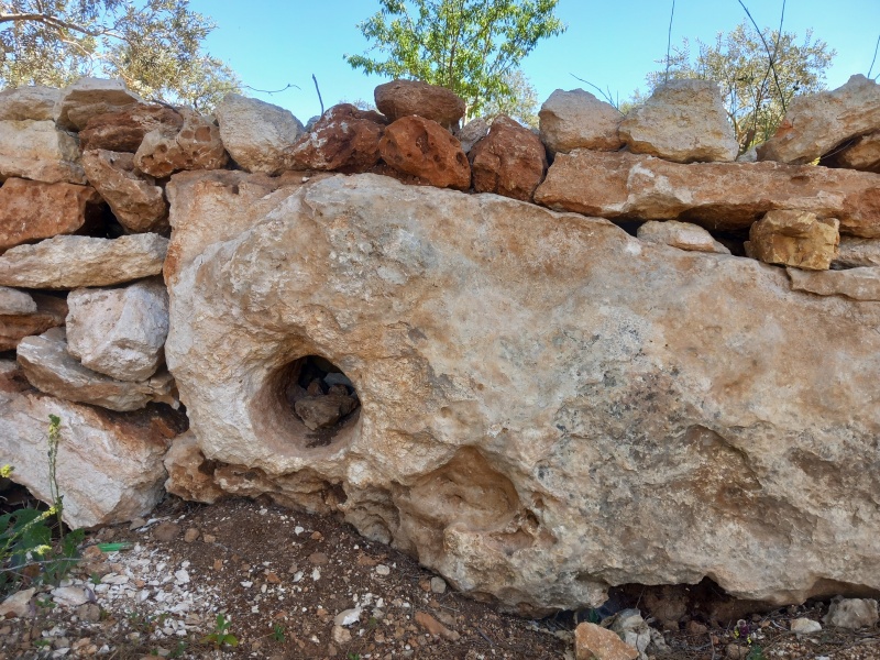 קובץ:2025-04-18T12 54 00.335790708273.jpg