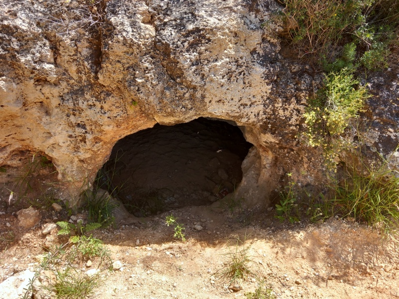 קובץ:2025-04-18T12 56 31.376884294286.jpg