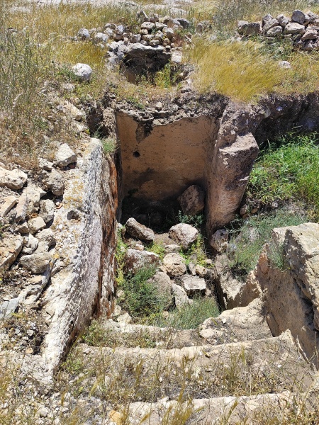 קובץ:2025-04-18T13 40 37.408693969827.jpg