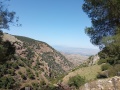 תמונה ממוזערת לגרסה מתאריך 15:11, 18 באפריל 2025