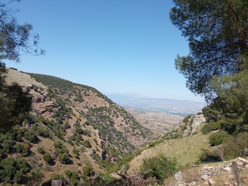 קובץ:2025-04-18T15 02 35.03521611745.jpg