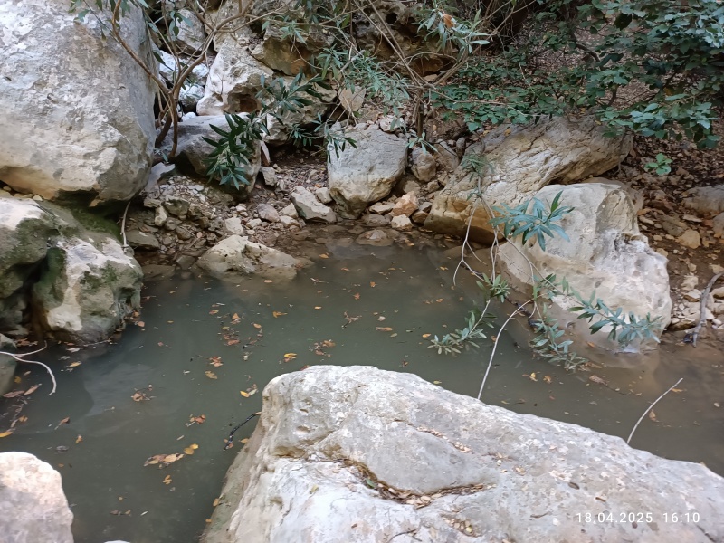 קובץ:2025-04-18T16 10 59.125765238181.jpg