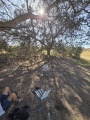 תמונה ממוזערת לגרסה מתאריך 13:13, 18 באפריל 2025