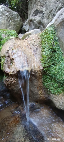 קובץ:2025-04-18T16 52 49.271882331062.jpg