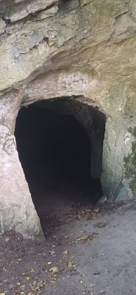 קובץ:2025-04-18T18 12 17.645213754458.jpg
