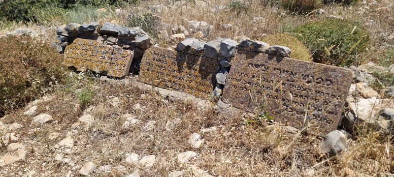 קובץ:2025-04-19T11 34 09.201510249105.jpg