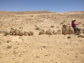 תמונה ממוזערת לגרסה מתאריך 09:20, 20 באפריל 2025