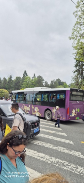 קובץ:2025-04-20T14 43 16.593640963708.jpg