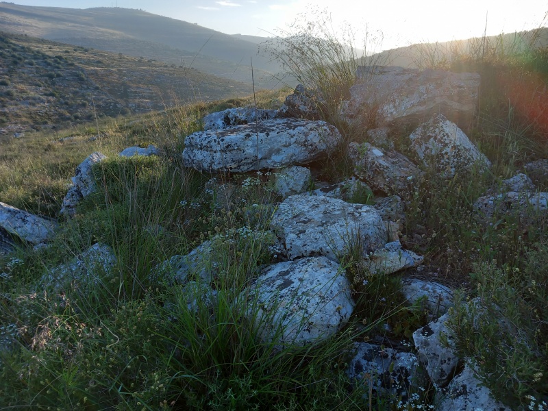 קובץ:2025-04-21T06 54 21.374952228203.jpg