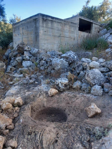 קובץ:2025-04-21T07 15 13.674328714180.jpg