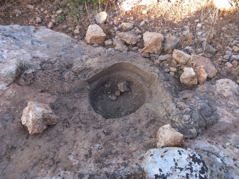 קובץ:2025-04-21T07 16 09.993732186120.jpg