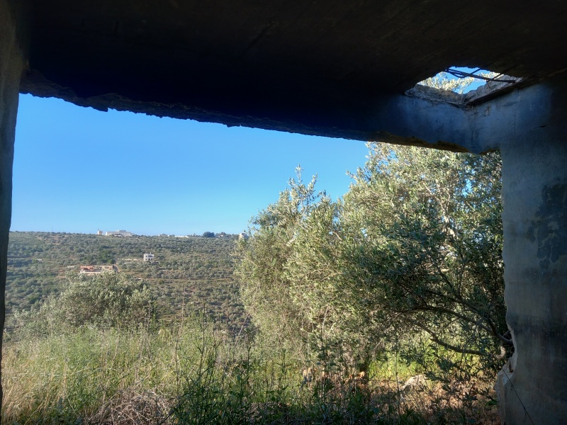 קובץ:2025-04-21T07 33 57.489500989495.jpg
