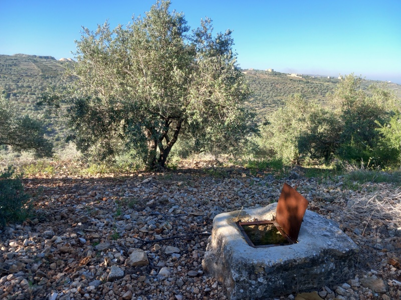 קובץ:2025-04-21T07 38 54.275069139307.jpg