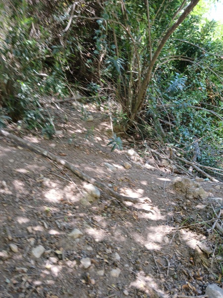 קובץ:2025-04-21T10 59 38.811798448045.jpg