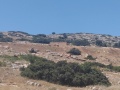 תמונה ממוזערת לגרסה מתאריך 15:05, 21 באפריל 2025