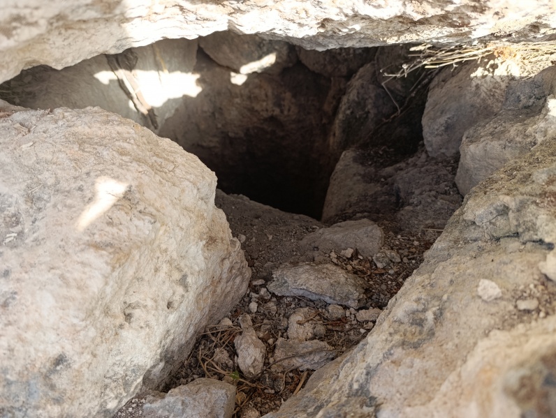 קובץ:2025-04-22T17 23 52.965713127899.jpg